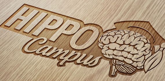 kurumsal kimlik tasarımı logo tasarımı logo tasarımı mockup