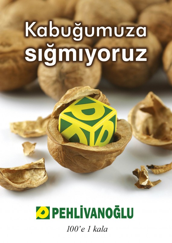Pehlivanoğlu Basın İlanları Tam Sayfa Gazete İlanı imaj ilanı yıl dönümü ilanı creative tasarım