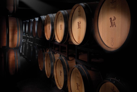 imaj tasarımı kurumsal kimlik amblem logo tasarımı logo mockup