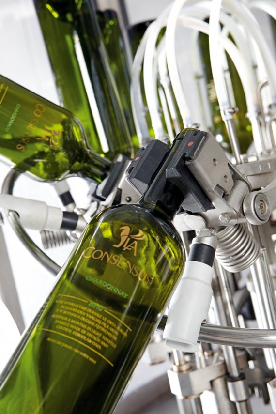 profesyonel fotoğraf çekimi