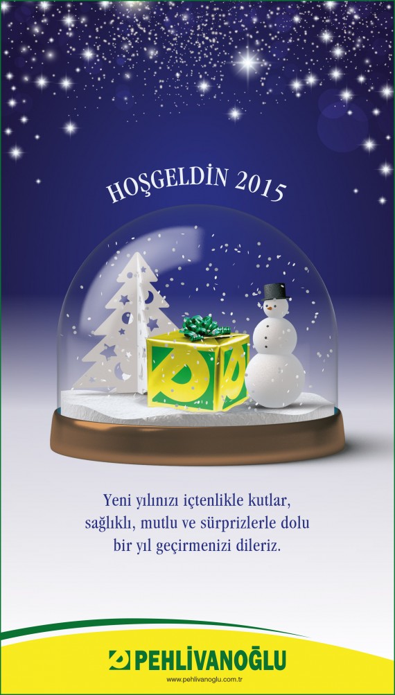 Pehlivanoğlu yeni yıl ilanı Yeni yılınız kutlu olsun 2015 mutlu yıllar 4x25 imaj ilanı snow globe